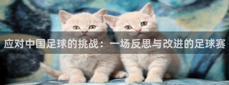 应对中国足球的挑战:一场反思与改进的足球赛