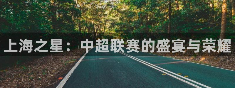 上海之星:中超联赛的盛宴与荣耀