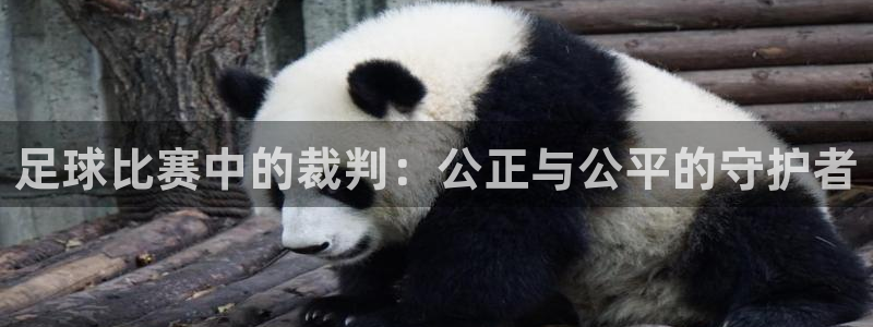 足球比赛中的裁判:公正与公平的守护者
