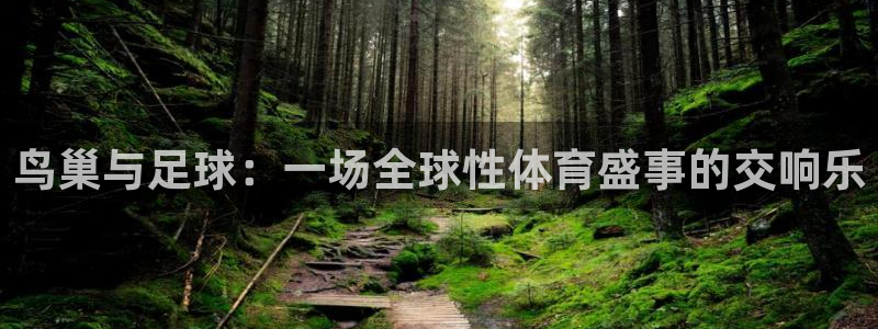 鸟巢与足球:一场全球性体育盛事的交响乐